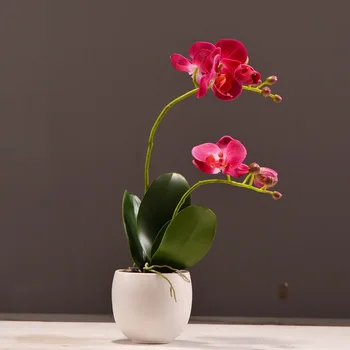 1 Nastavite Visoko Kakovost Pravi Dotik Metulja Orhideja Bonsaj Umetno Phalaenopsis Cvet Posajenih Rastlin Svate, Dekoracijo Doma
